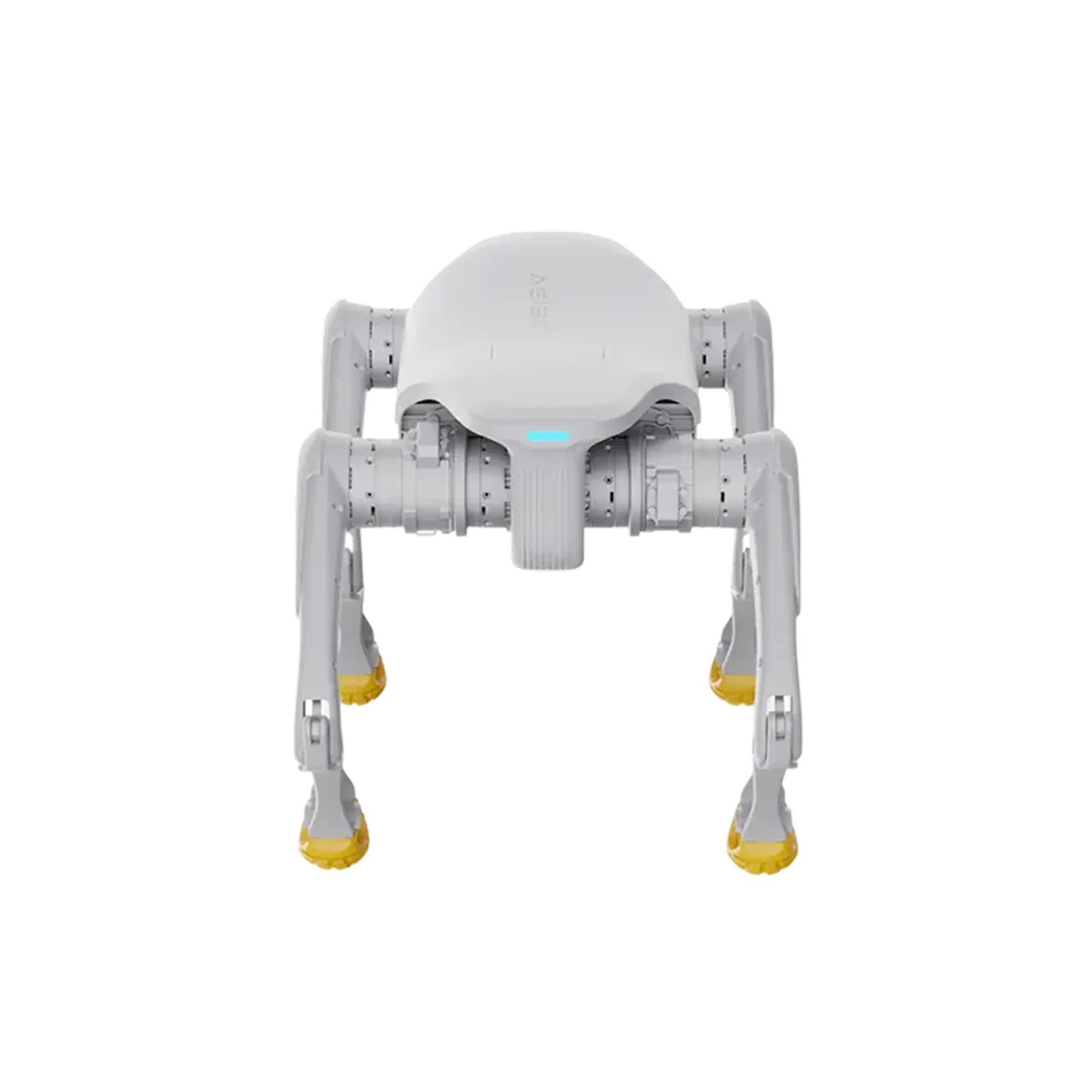 AGIBOT D1 Edu von vorne