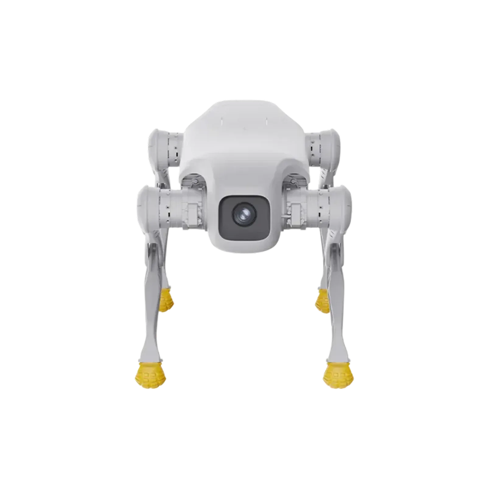 AGIBOT D1 Edu vierbeiniger Roboter, Frontansicht