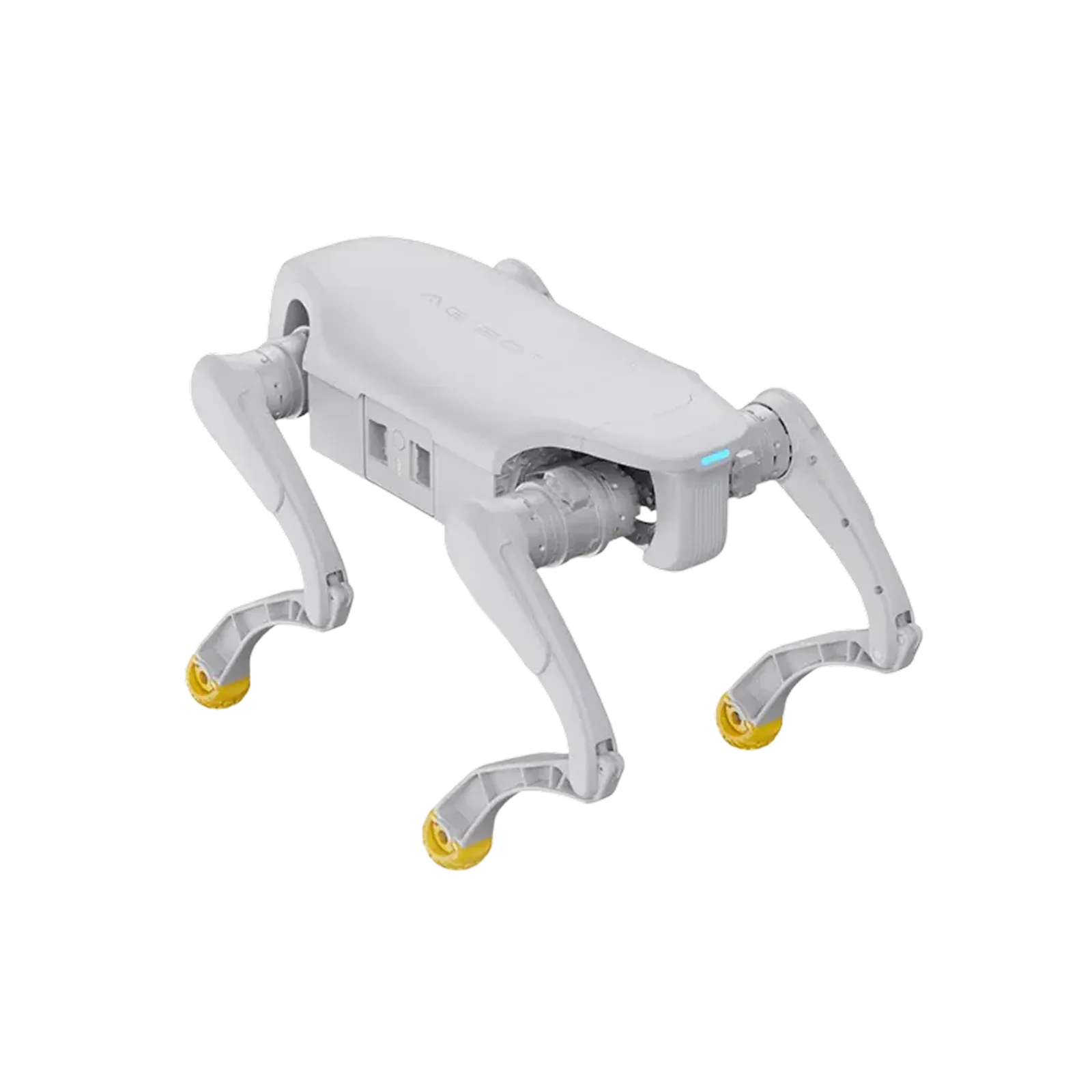 AGIBOT D1 Edu von oben