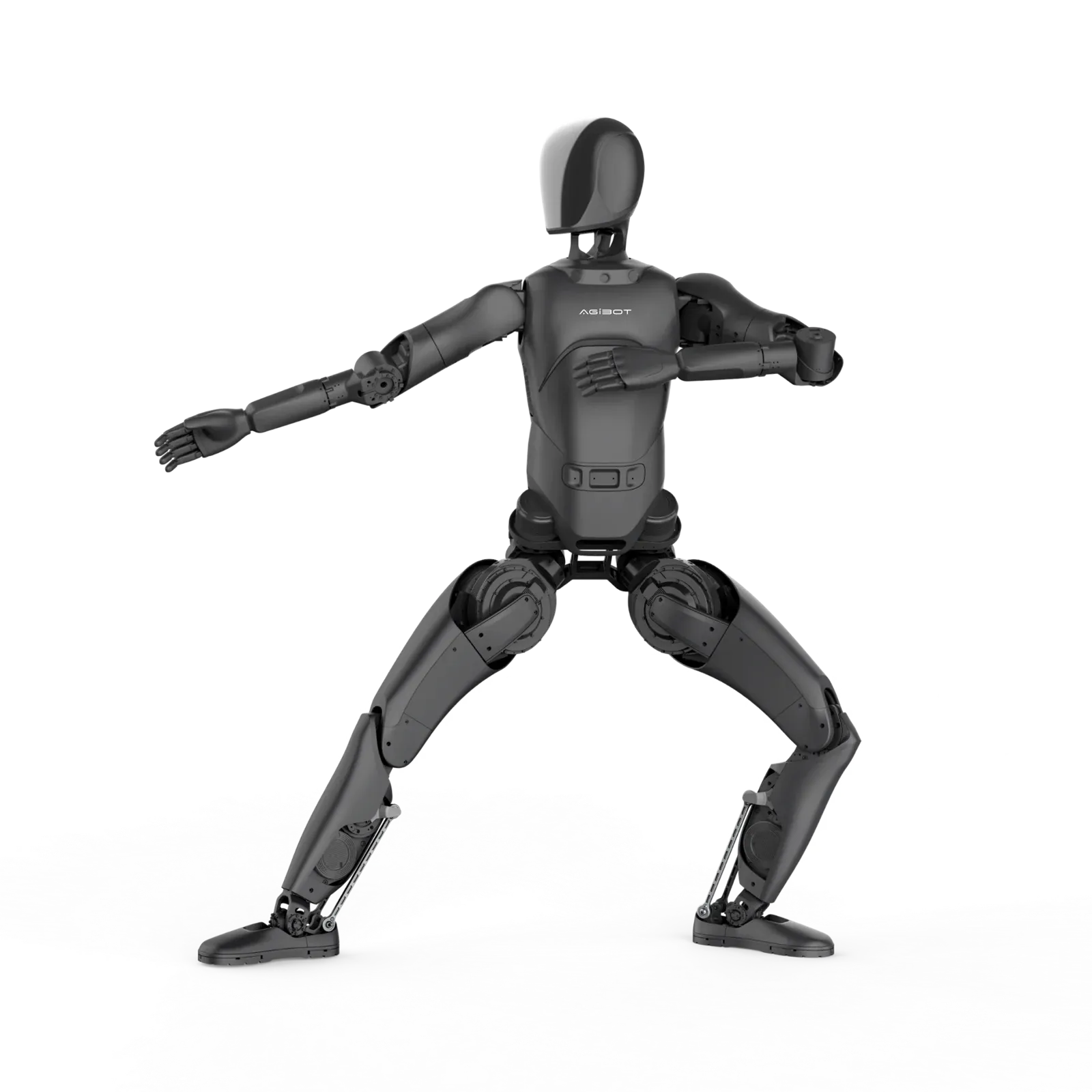 AGIBOT A2 Lite in einer Kampfkunst-Pose