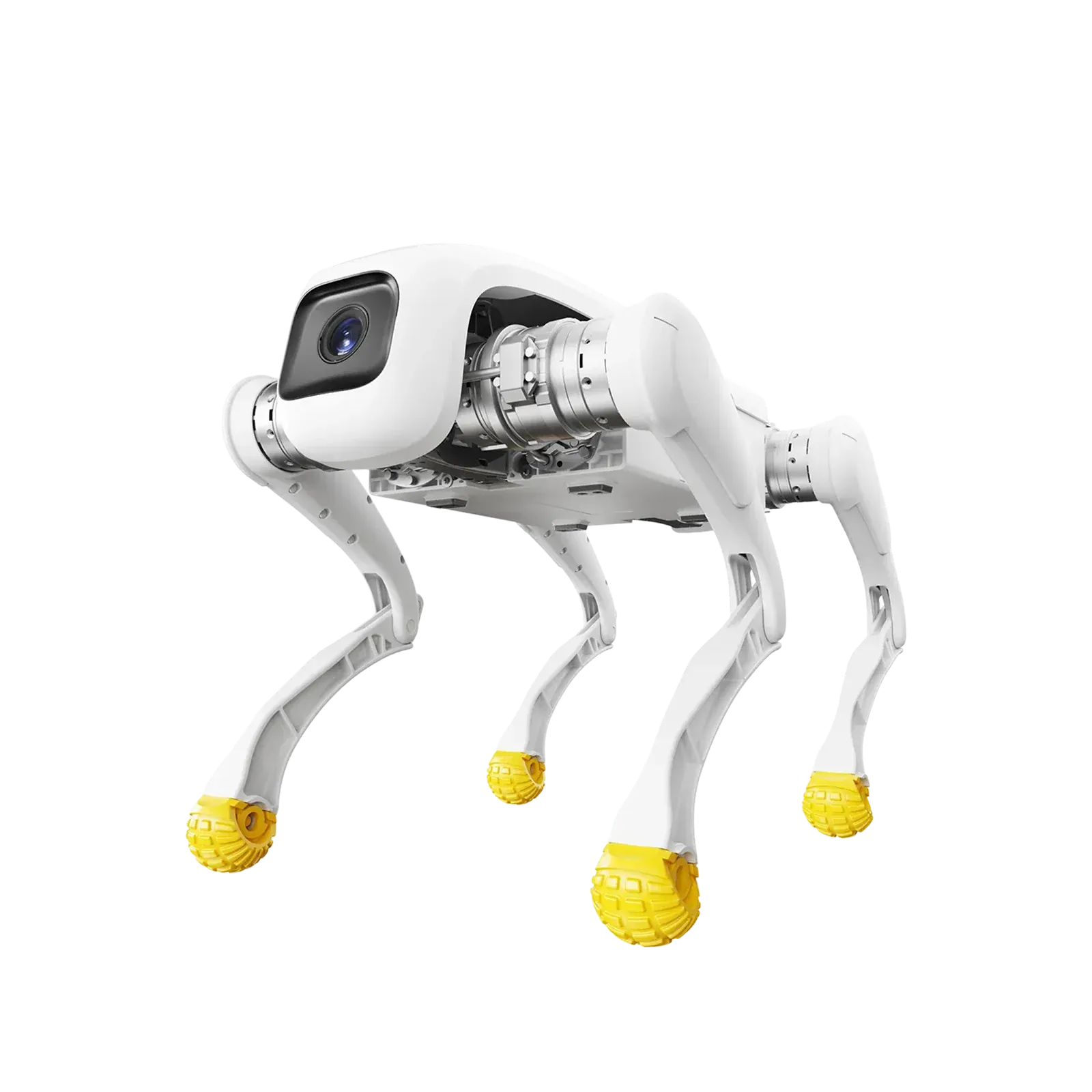 AGIBOT D1 Pro vierbeiniger Roboter, schräg von vorne