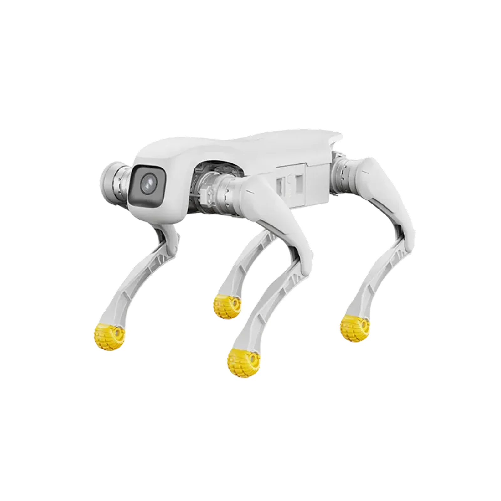 AGIBOT D1 Edu Seitenansicht
